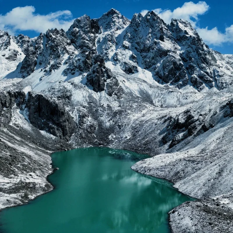 JX PDI-1001MG Micro Servo - 4.8-6.0V 1.5KG·cm 0.04Sec/60 °   10 جرام 20 × 11.3 × 21.25 ملم جزء RC