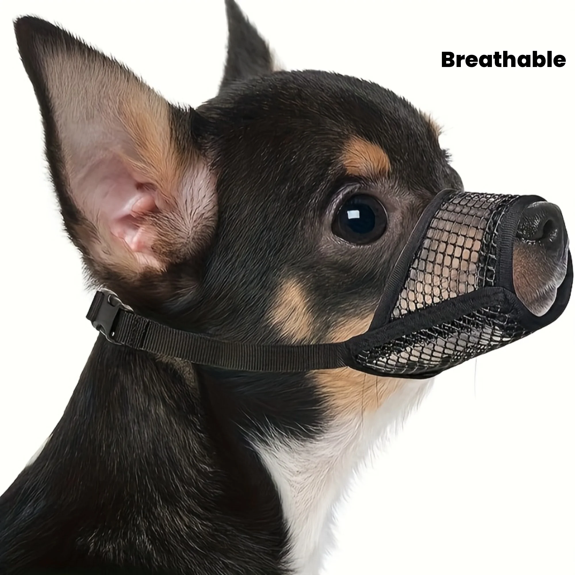 Bozal de malla para capullos cortos y perros pequeños y medianos, antimordidas, concentrado en perros brachoscefálicos como Chihuahua Pomerania