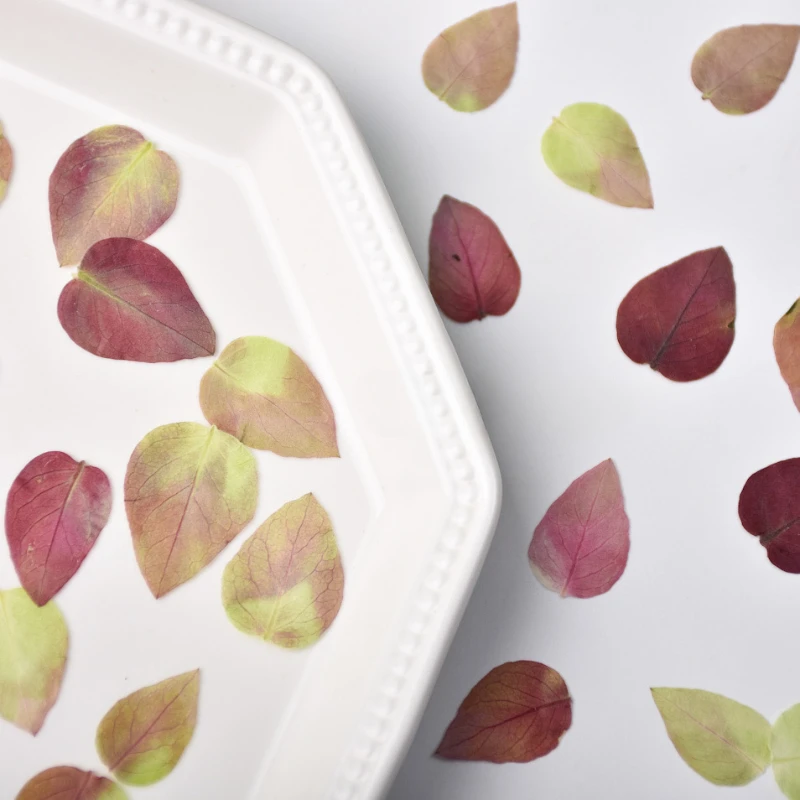 

2cm/24pcs,Pressed Shrimp clothing grass leaf dry flower stickers DIY drip glue materials plant photo frame home festival decor