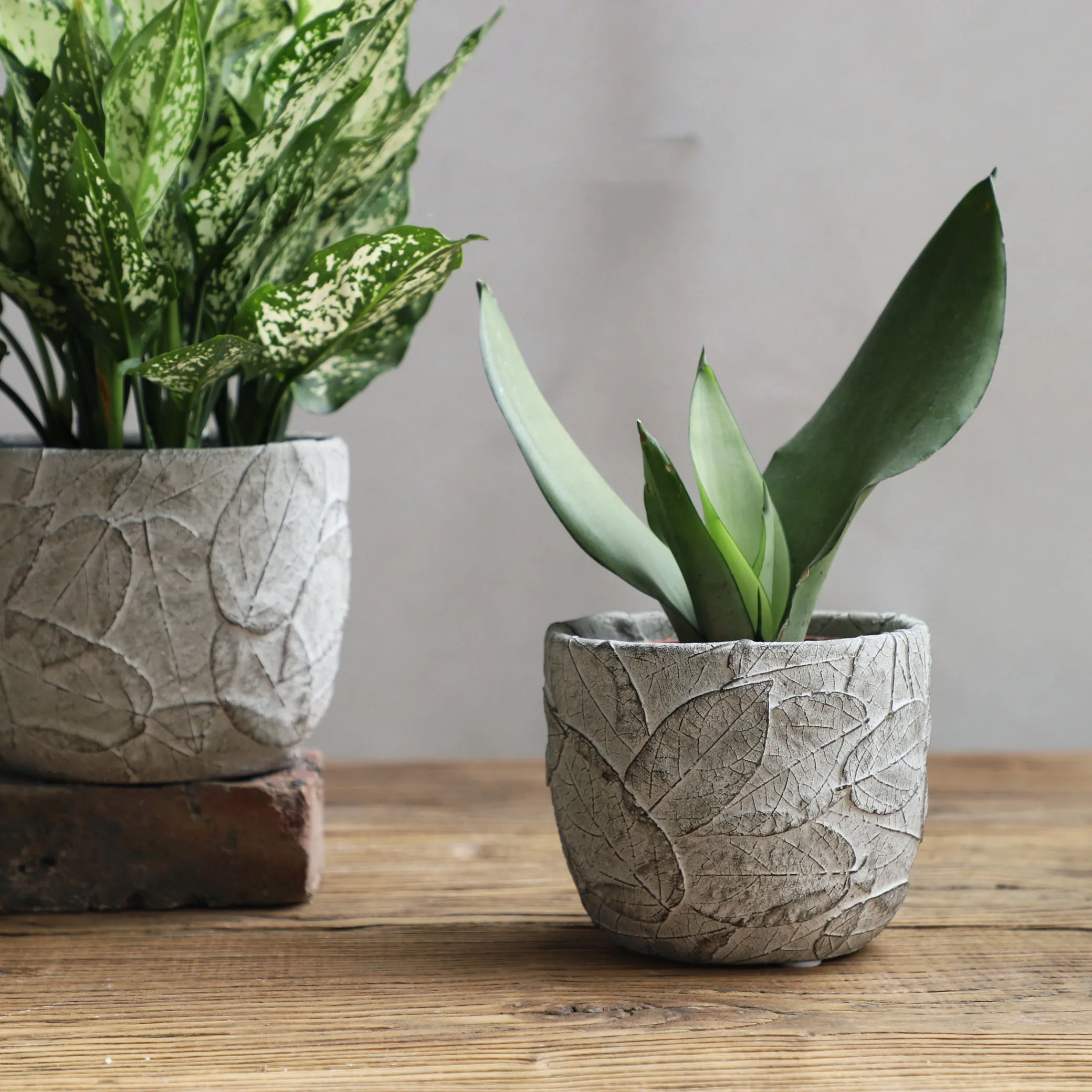 leaf-pattern-silicone-mold-for-concrete-planter-diy-cement-succulent-flower-pot-casting-mold-handmade-botanical-garden-decor