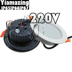 220V IP65 Outdoor Waterproof IP66 IP67 Kitchen LED Downlight Dimmable 7W 9W 12W Changeable Eaves Toilet Ceiling Lamp Spot Light