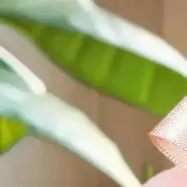 Evidenzia palla stile moda vento soffio sciolto impostazione palla di polvere clavicola glitter viso corpo cosmetici portatili all-in