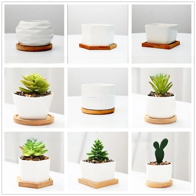 

Сочные горшки Cerc, белые фарфоровые горшки, украшения для дома и сада, настраиваемый логотип, трансграничное садоводство