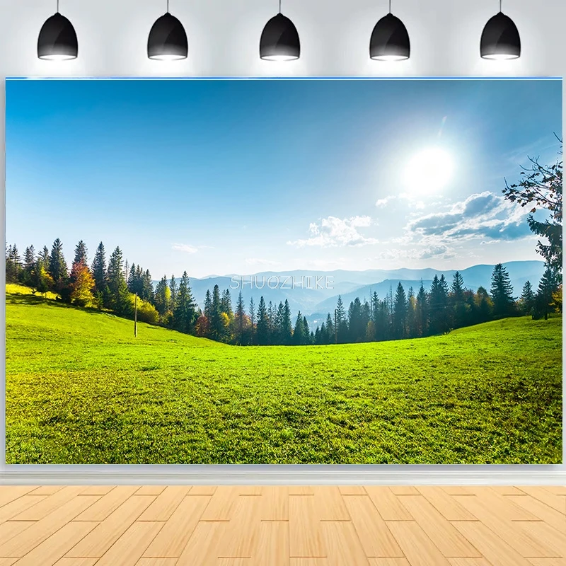 

Autumn European Street Scenery Photography Backdrops Props Blue Sky White Cloud Nature lawn Forest Photo Studio Background KH-08