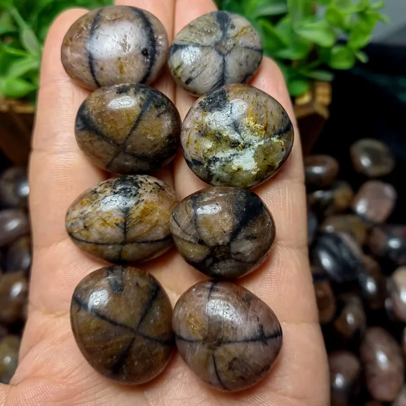 Chiastolite Tumbled Mineral Rocks Gift Freeform Natural Fairy Cross Stone Specimen Polished Andalusite Quartz Crystal Grid Pagan