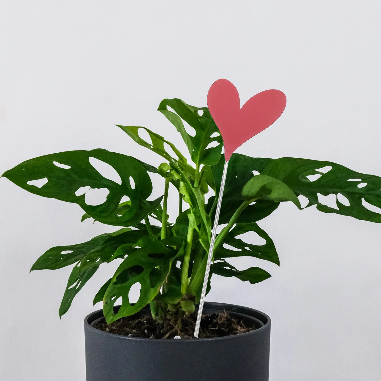 Heart Shaped Decor … - image