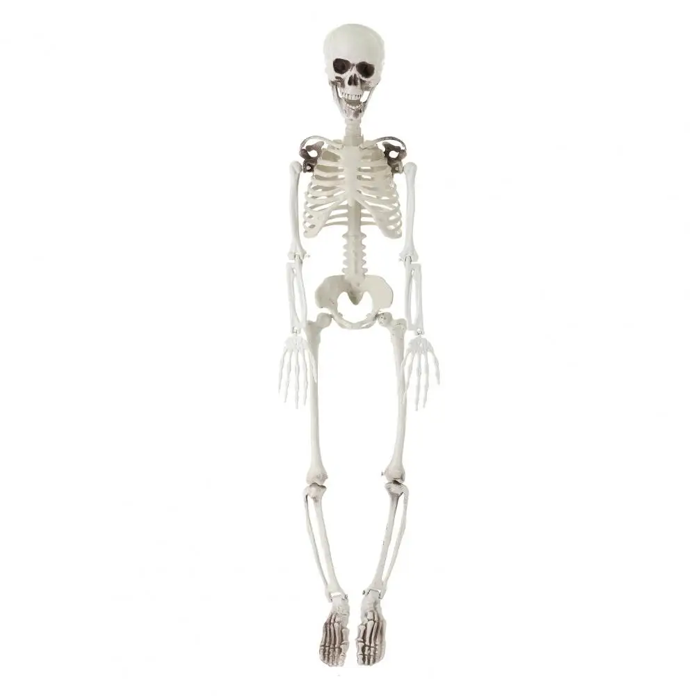 

Outdoor Halloween Decoration Halloween Skeleton Prop Realistic Movable Skeleton Props for Haunted Houses Graveyard Decorations