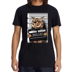 XIN YI Men's High Quality T-shirt 100% Cotton Funny Criminal Cat Pattern Printed Casual Cool O-neck T Shirt Loose Male Tees Tops