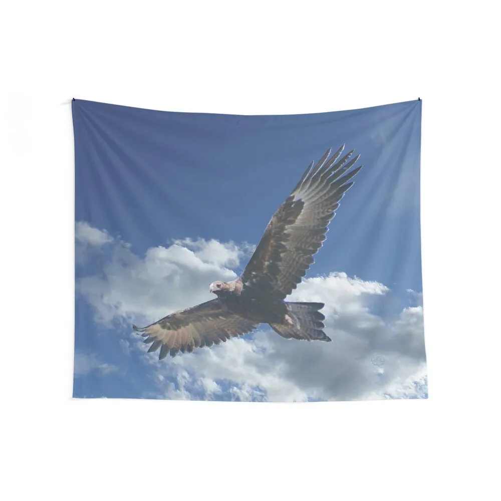 RAPTOR ~ Soaring Wedge-tailed Eagle DGKXWEB8 by tasmanianartist 31122020 Tapestry Bedroom Decoration Decoration Wall Tapestry