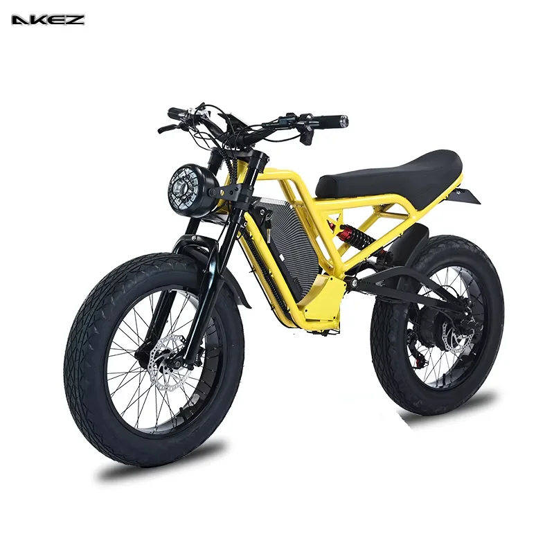 US Stock 750w Fat Tire Electric Cross Motorcycle Adults Electric Booster Bicycle For Men High Power Mountain Removable Battery