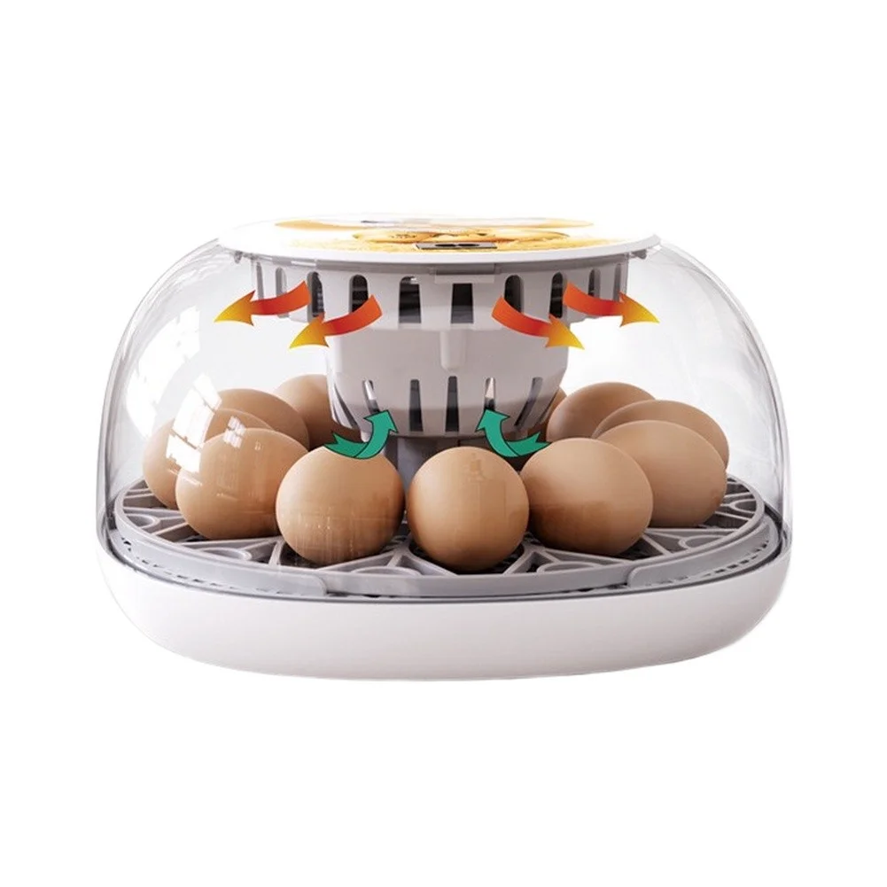 Home and Classroom 12-Egg Automatic Incubator British Standard with Full View Thermal Cover and Digital Control
