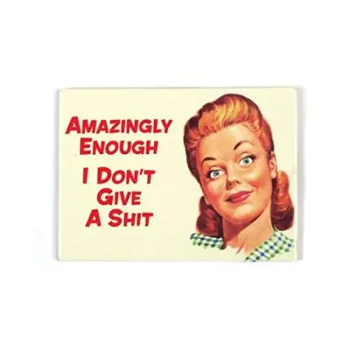 Retro DON'T GIVE A SH*T Joke Funny Humorous Gift Birthday Office FRIDGE MAGNET