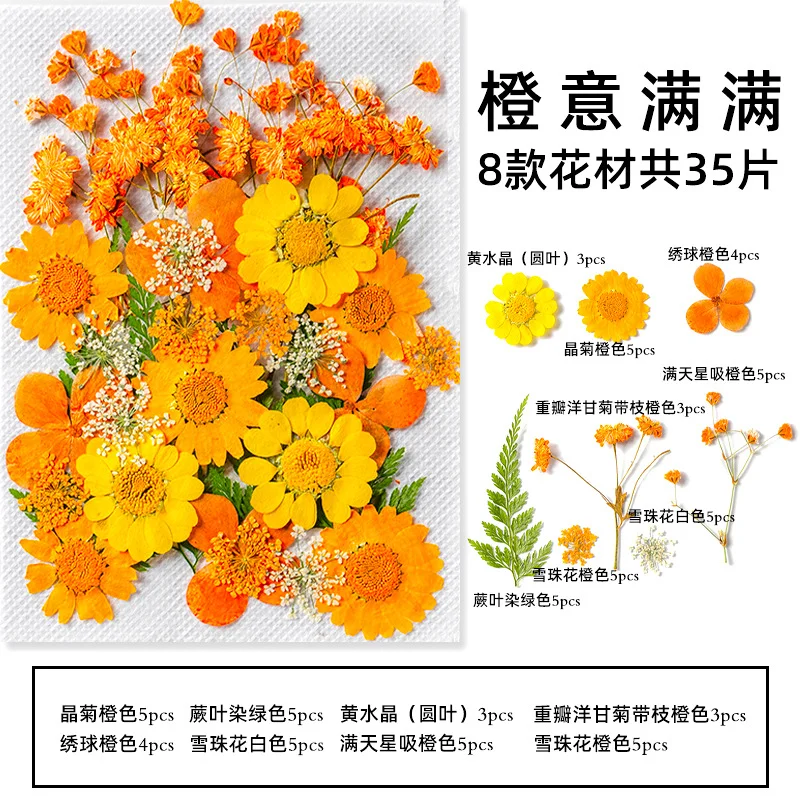 35Pcs10 Set of Dried Flowers and Pressed Real Natural Flower Leaves for Resin Jewelry Mold Filling, Phone Case Making, Decoration, and Scented Candles view 5