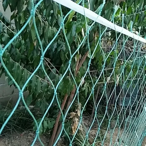 Red para pájaros, red para huerto, redes de jardín, jaula para pollos, aves de corral, red de cría, red verde de nailon, para estanque de peces, jardín, previene animales