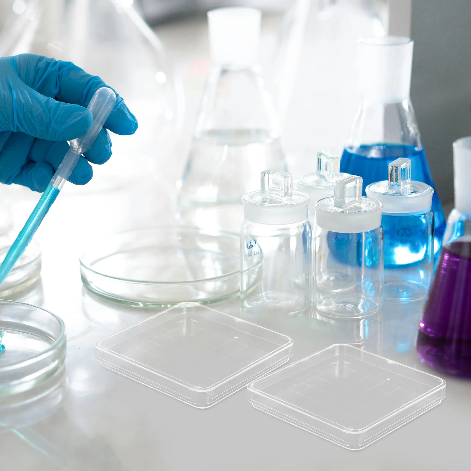 10 قطعة أطباق بتري واضحة طبق ثقافة المختبر البلاستيكي للبحث العلمي أطباق أجار مع غطاء تجربة نمو الفطر #2