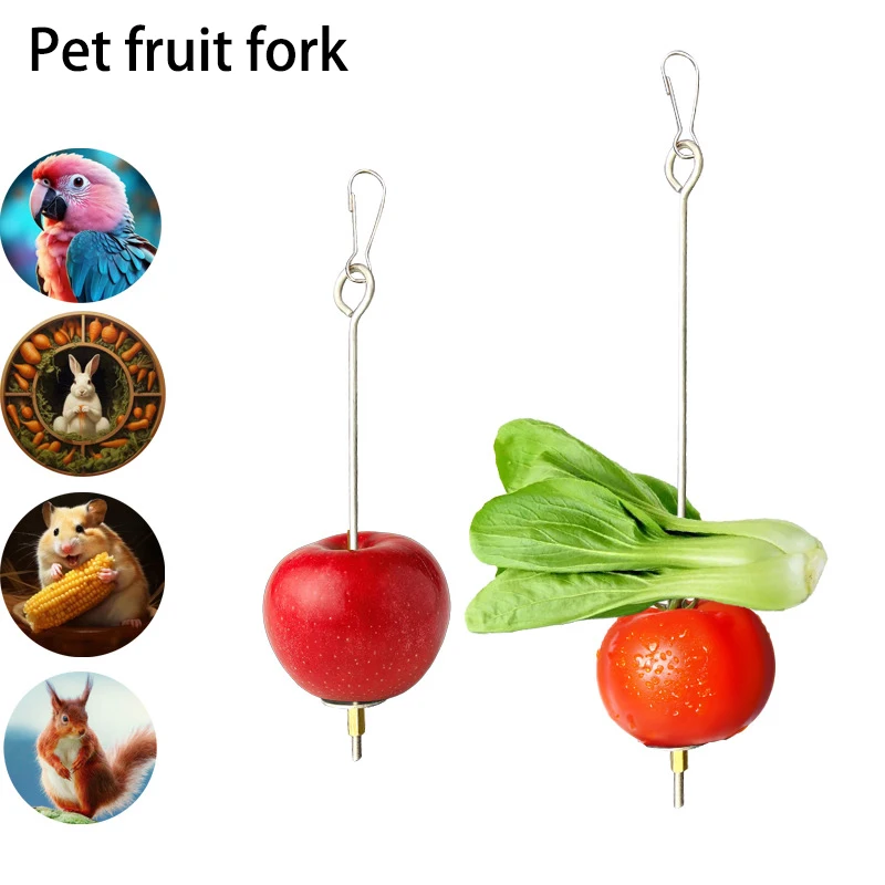 Parrot Stainless Steel Fruit Fork Toy Bird Cage Supplies Insert Bird Feeder Pet Parrot Accessories