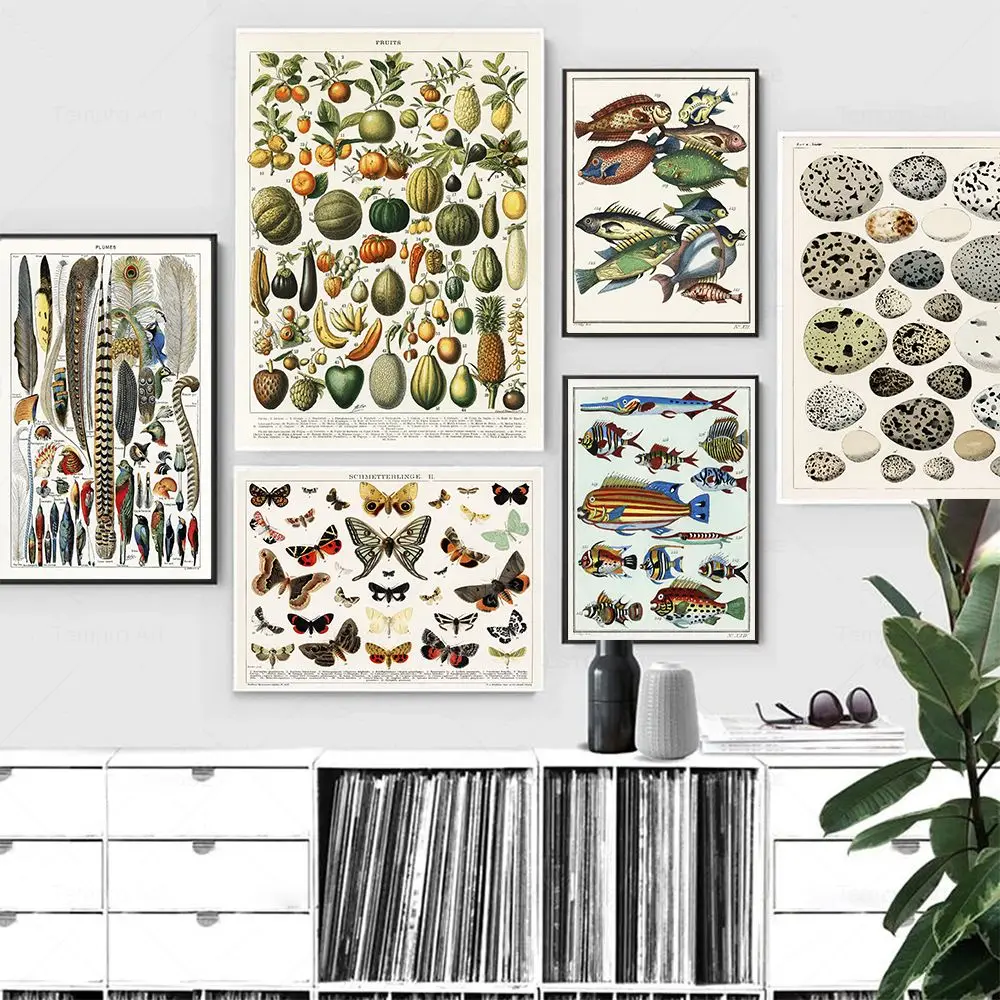 Póster educativo botánico de mariposa, pájaro, huevos de avena, pez, cuadro sobre lienzo para pared Vintage, impresión de cocina, decoración del hogar para sala de estar
