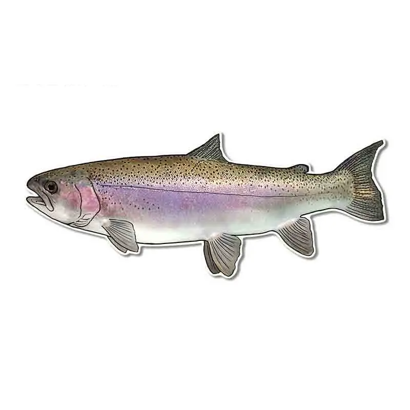 For Salmon Sunscreen Car Stickers Motorcycle Decal Occlusion Scratch Vinyl Material Decoration 13cm x 5.3cm