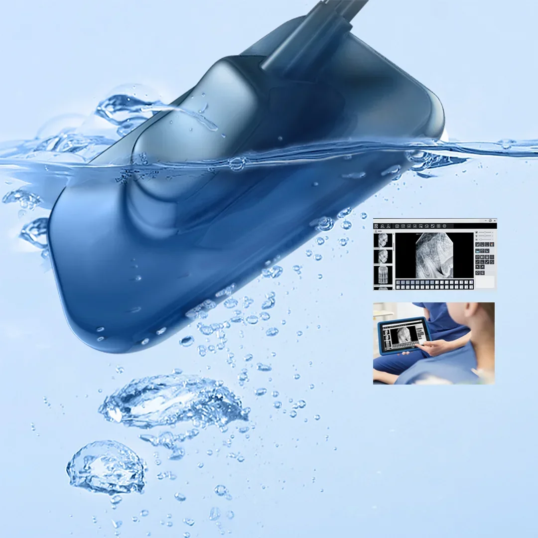 

LK-C67 Цифровой рентгеновский датчик стоматологической радиосвязи для собак для ветеринара