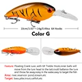 COLOR G