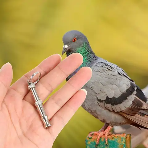 애완 동물 훈련 용품 초음파 개 호루라기 조정 가능한 주파수 휴대용 개/비둘기 훈련 호루라기 작은 개 훈련 도구 애완 동물 훈련 용품 초음파 개 호루라기 조정 가능한 주파수 휴대용 개/비둘기 훈련 호루라기 작은 개 훈련 도구