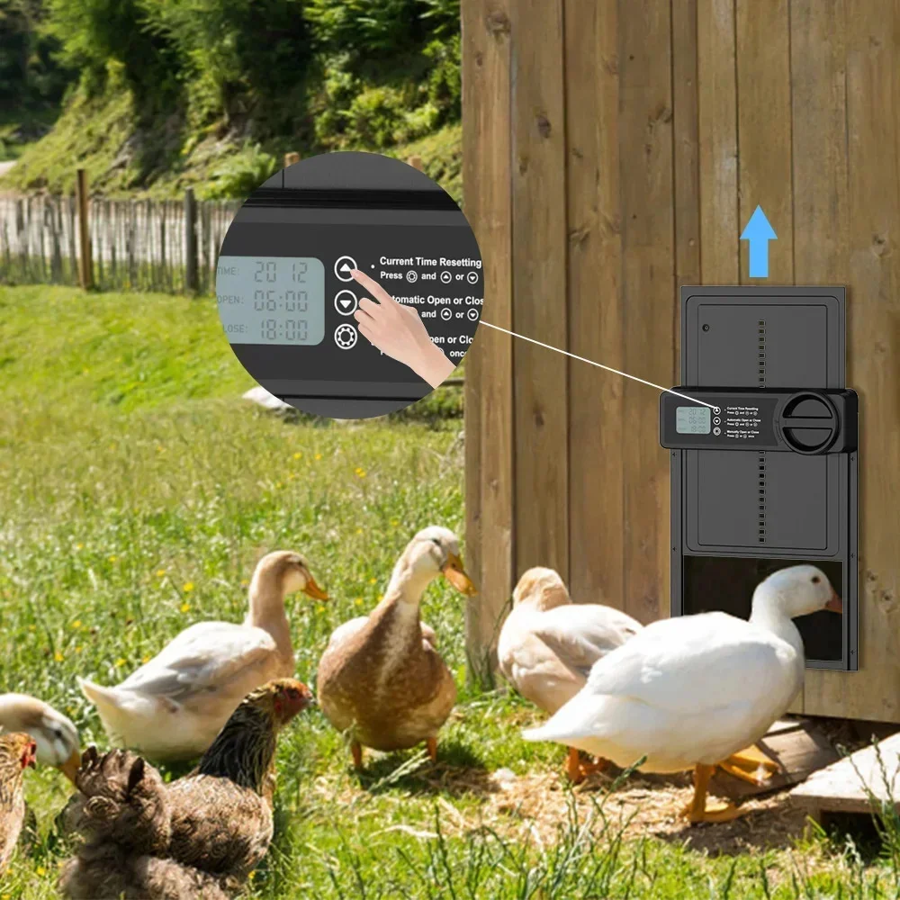 Timer Automatic Chicken Coop Door Battery Powered Intelligent Chicken House Door Waterproof Pet Cage Door For Outdoor Farm