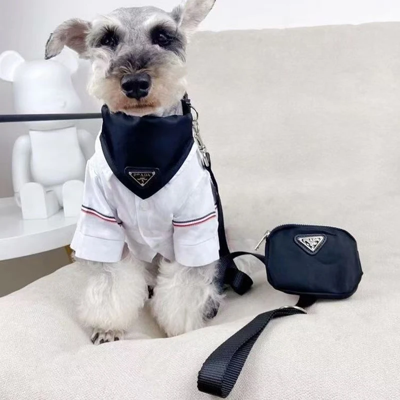 

Pet Dogs Traction Rope French bulldog Teddy Schnauzer Pet Paddle Triangle Scarf Tie Collar Pet Carrying Supplies Fashion Key Bag