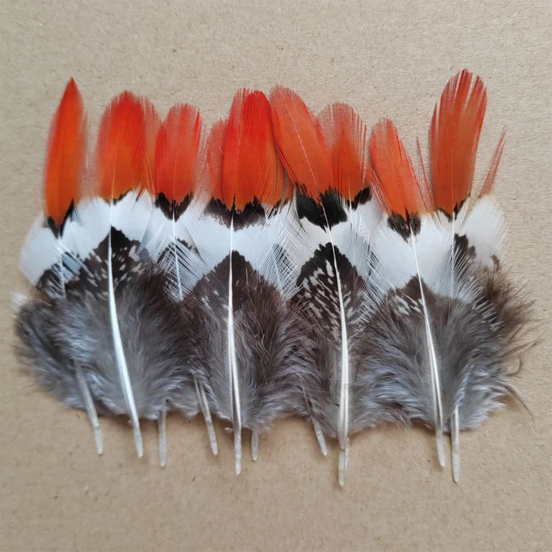 

100Pcs/Lot 2-4 inches 5-10CM Pheasant Feathers, Lady Amherst Feather, Orange Red Tipped,Wholesale lot.