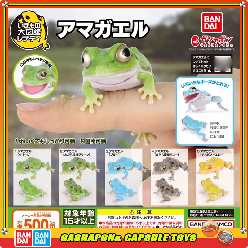 

BANDAI Biological Encyclopedia Action Figures Model Amphibians Tree Frog Rain Frog Gashapon Ornament Genuine Collect Ornaments