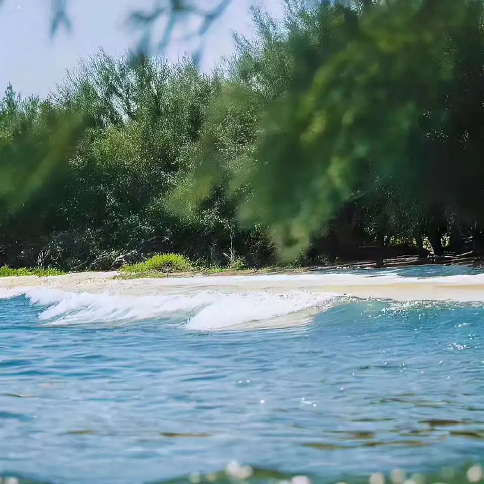 

EMSzero 6500 Вт 15Telsa 200 Гц PRO RF машина для похудения тела оборудование для стимуляции мышц машина для похудения 4 5 ручек