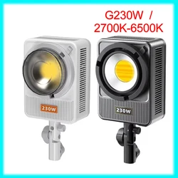 LIYADI G230W LED Video Light 2800K-6500K Live Professional Fill Light Photography Lights for Studio Softbox Lighting