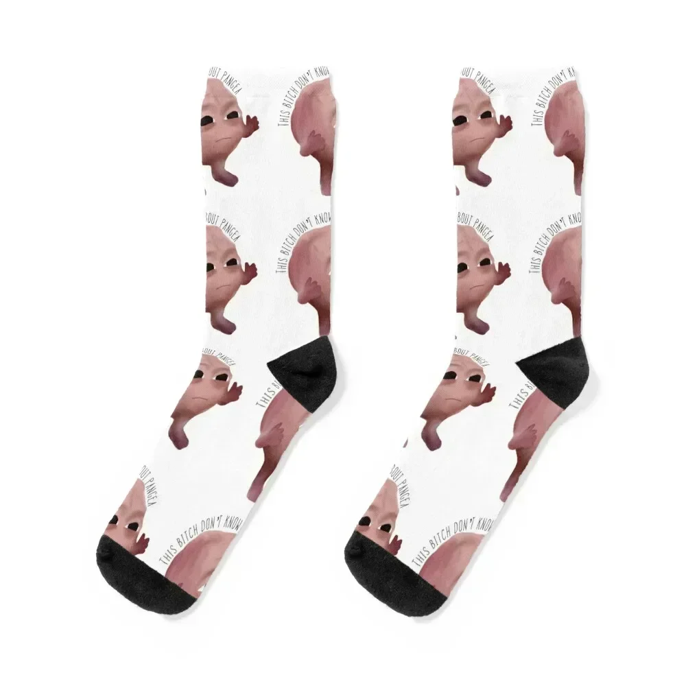 

This b*tch don’t know bout pangea Socks Stockings compression kawaii funny gifts sports stockings Girl'S Socks Men's
