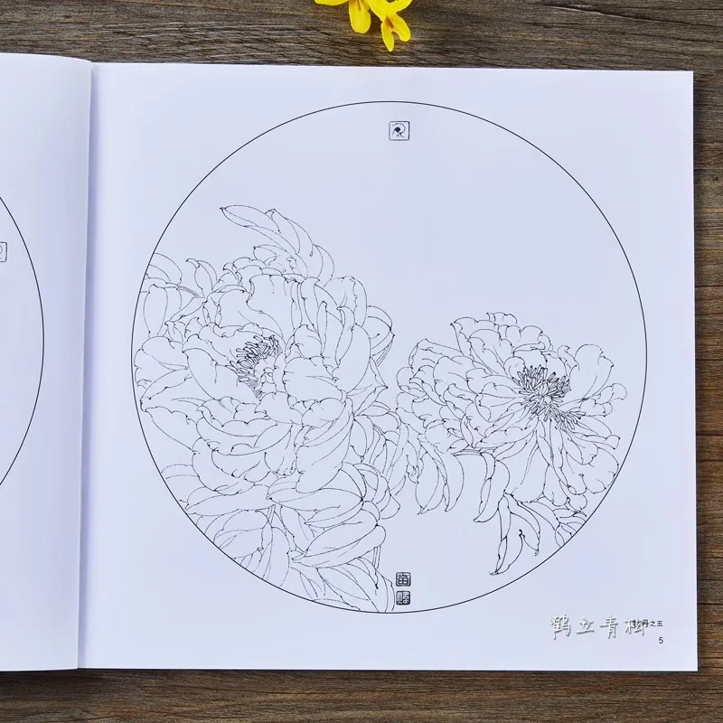 Practical Round Fan Line Drawing Manuscript Book Traditional Chinese Painting Flower Technique Copy Appreciation Picture Album