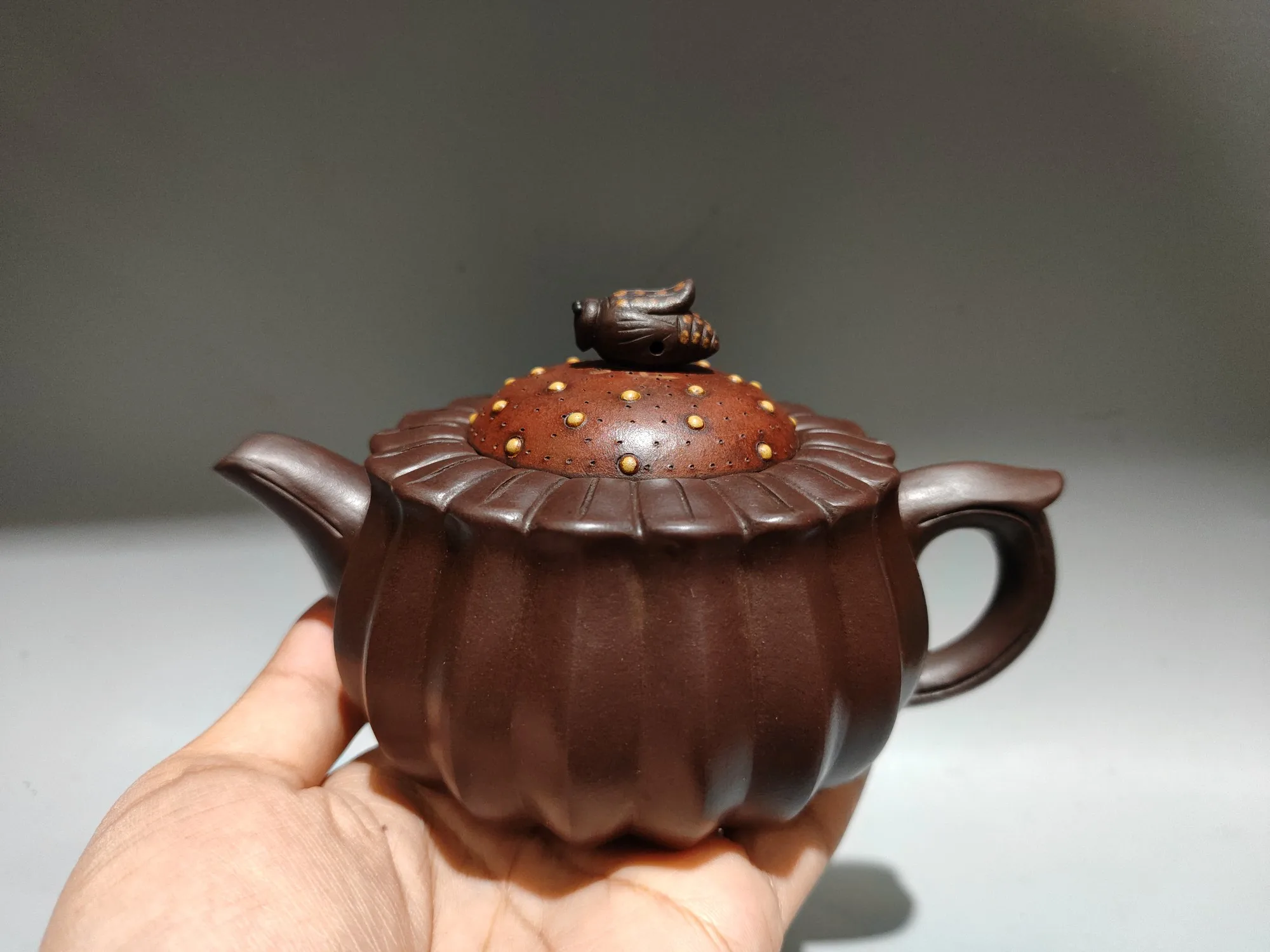 Old Handcraft Enameled  YiXing Zi Sha Clay Teapot,Carved Chrysanthemum and Cicada Teapot & Dragon Teapot,with mark,Free shipping