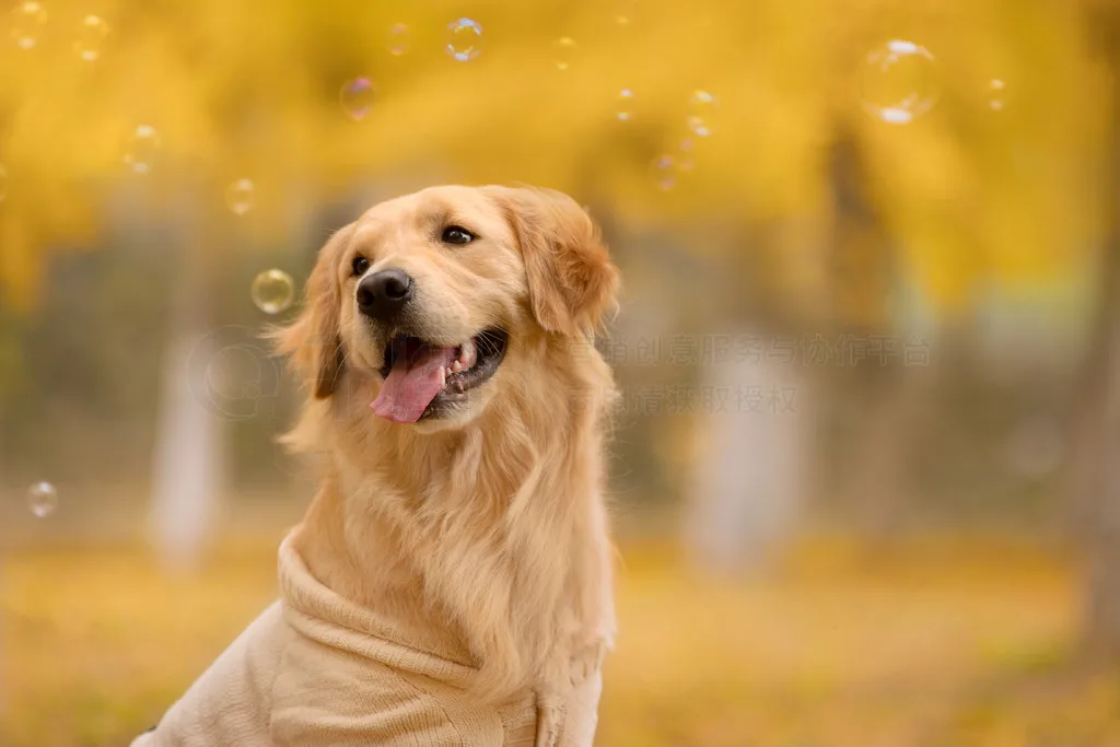 

4Pcs Snow Sand Tires Tyre Wheel for Wltoys 144001 124018 124016 124017 144010 124019 H16P H16E 1/14 1/16 1/18 RC Off-road Car