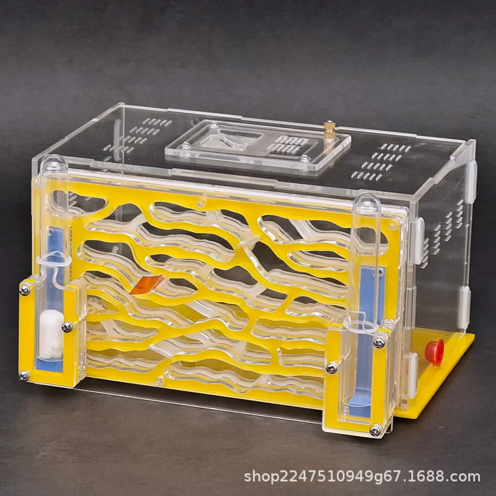 Assembled Ant Ecological Park Living Pet Ant Villa Homestead Castle Ecological Box For Queen Ant Breeding Science Observation