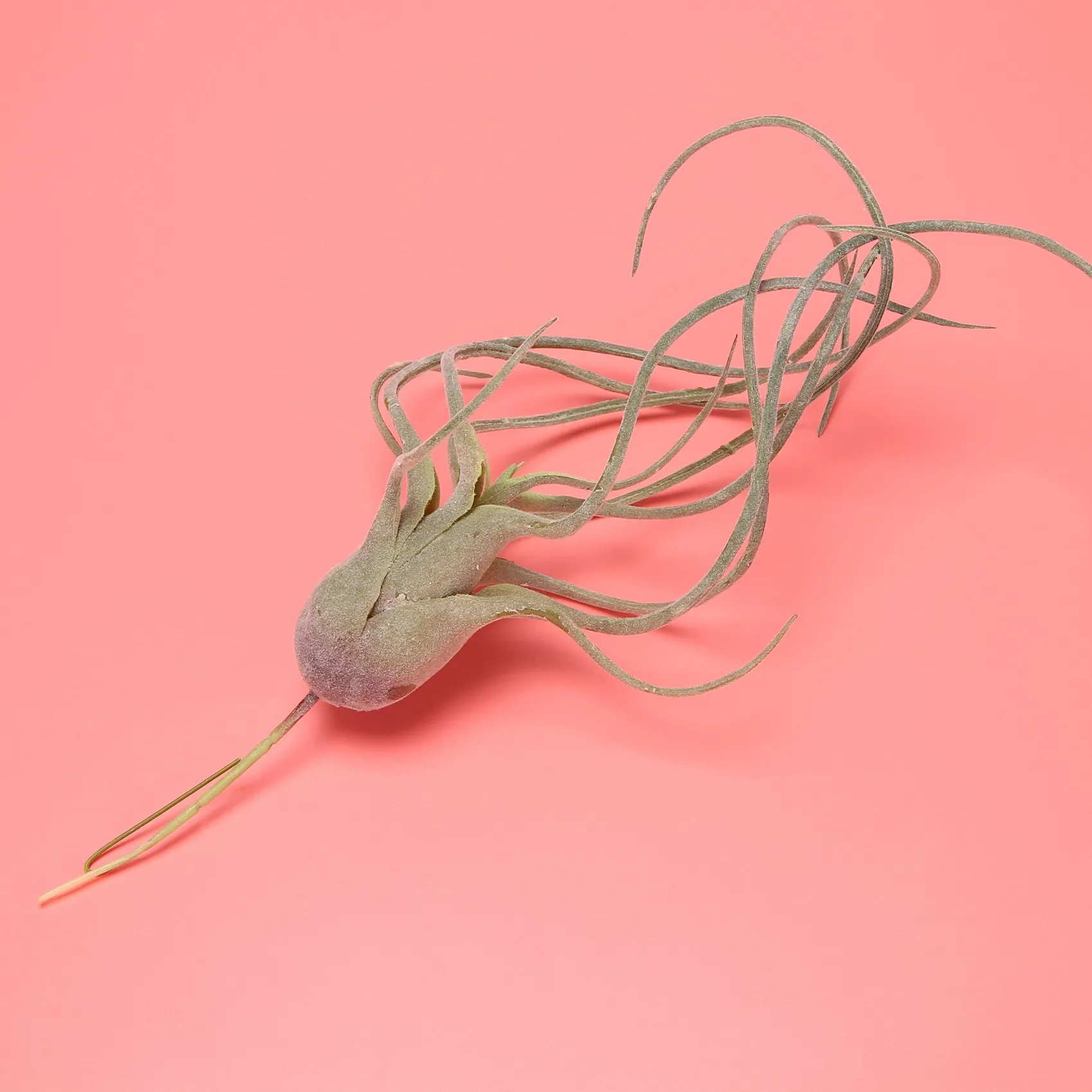 인공 파인애플 잔디 공기 식물 가짜 꽃, 가짜 플록 틸란드시아 브로멜리아드 홈 정원 장식, 4 팩