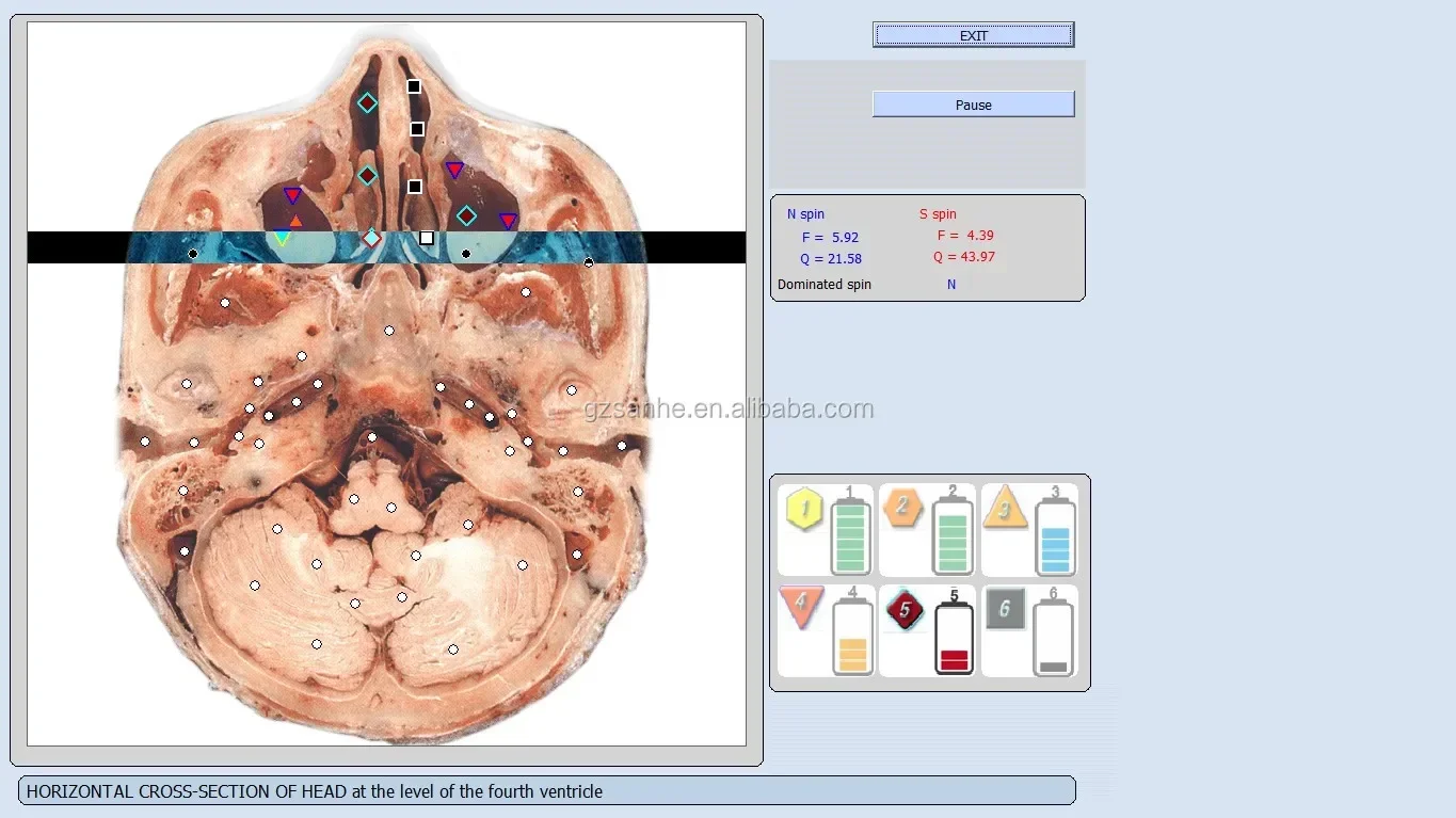 터치스크린 오리지널 바이오플라즘 9D NLS 건강