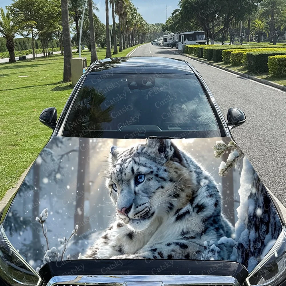 Snow leopard art on car hood, vivid winter scene with blue eyes and snowy branches, striking wildlife design.Car hood sticker