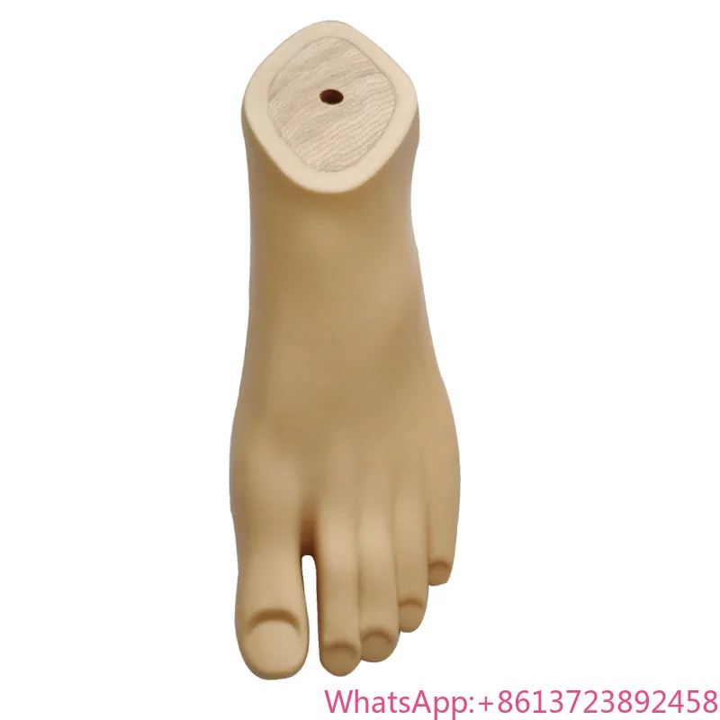 

Artificial Foot Implants, Foot Prosthesis Prosthetics Leg Parts, Prosthetic SACH Foot