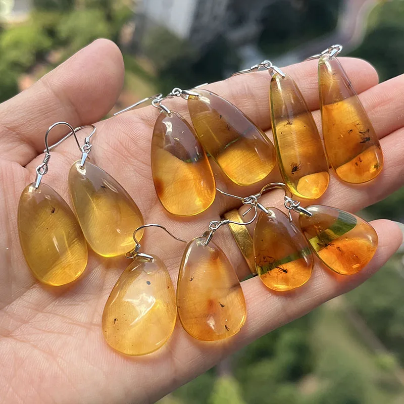 Insect Amber Earrings for Women S925 Silver Unique Drop Ear Gift Baltic Stone 2026 New Genuine Bugs Amber Jewelry Supplier 4