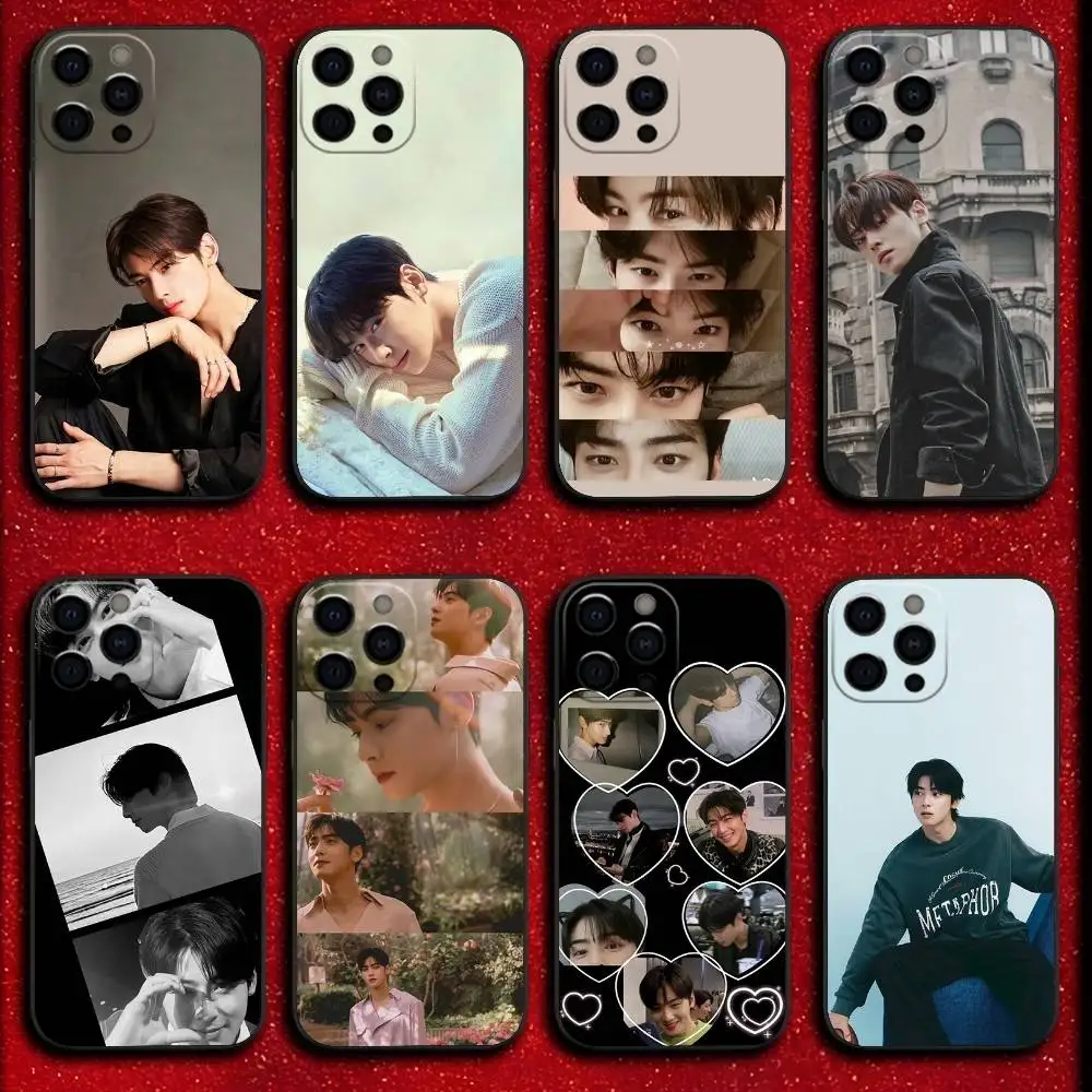 

C-Cha Actor E-Eun woo Phone Case For iPhone 17,16,15,14,13,12,11,Pro,Max,Plus,E,SE4,Air,Mini Black Cover