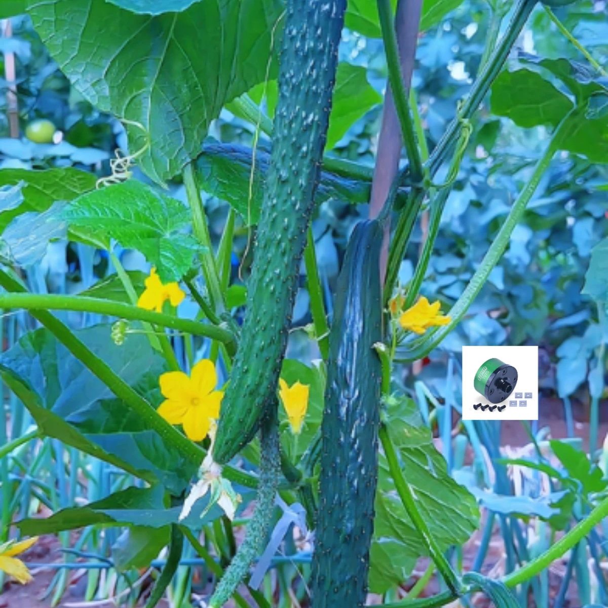 

GPM Medium Carbon Steel+Aluminium 7075 Front/Middle/Rear Diff Case For LOSI LMT -LOS04022 Fast Delivery & No Worries after-sale