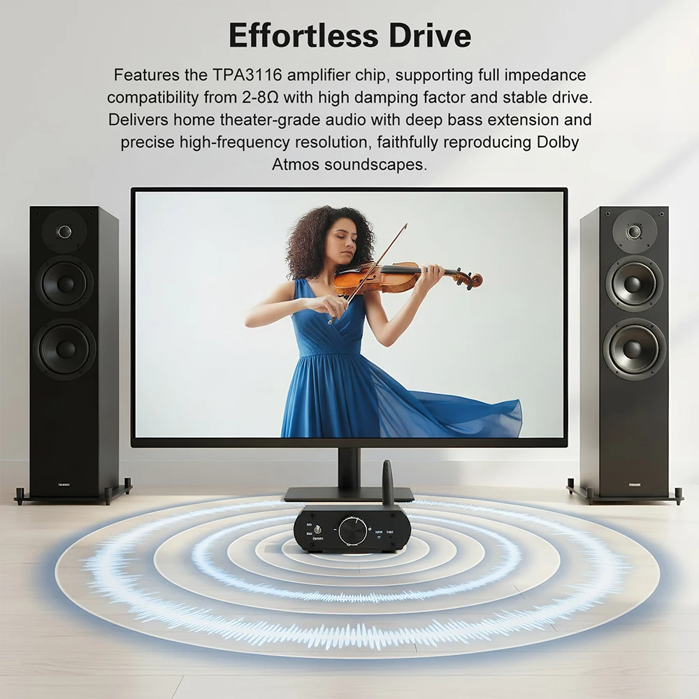 YS-T100W Amplifier …