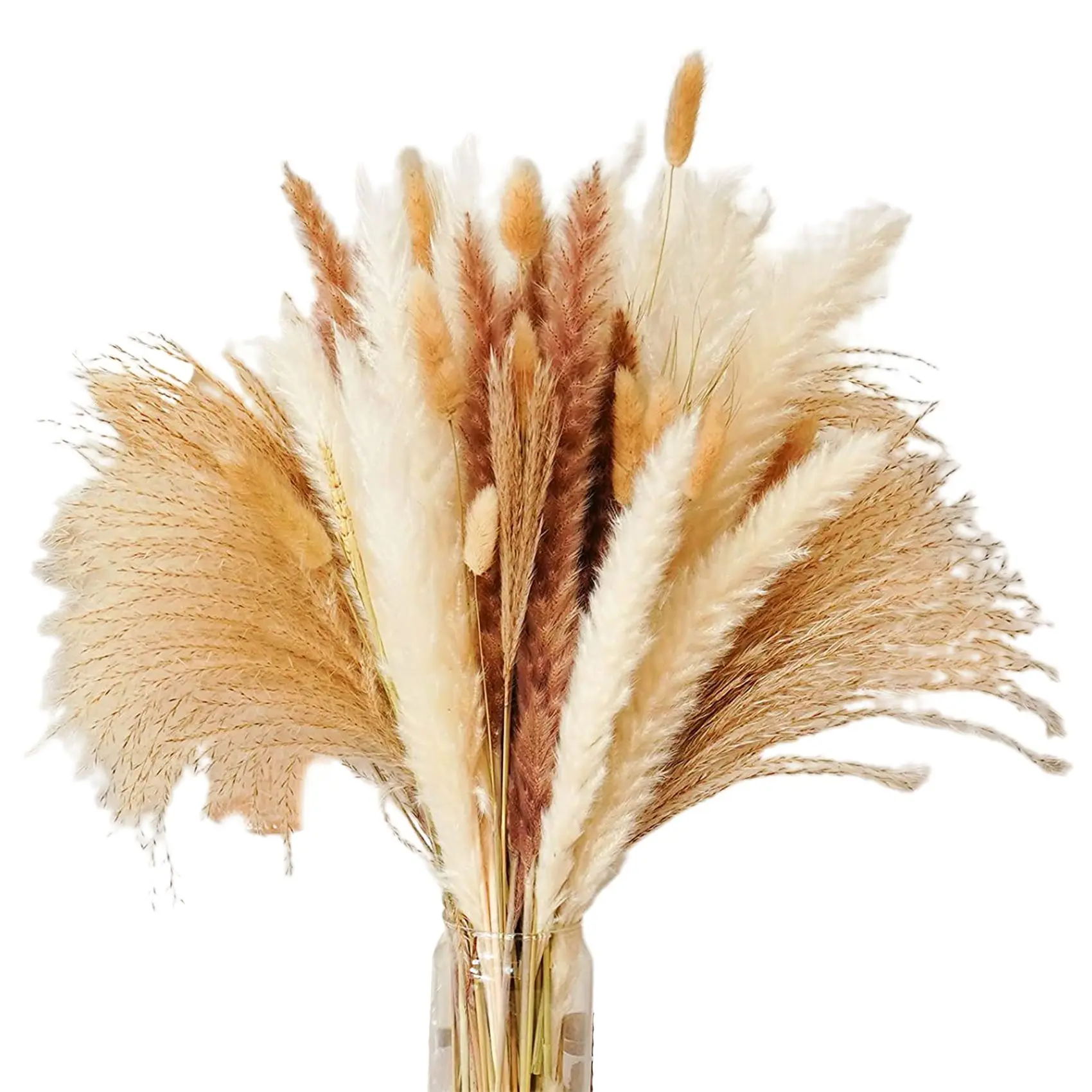 Pampas Grass Dried Pampas Reeds Natural Brown and Reeds for Bohemian Home Decor