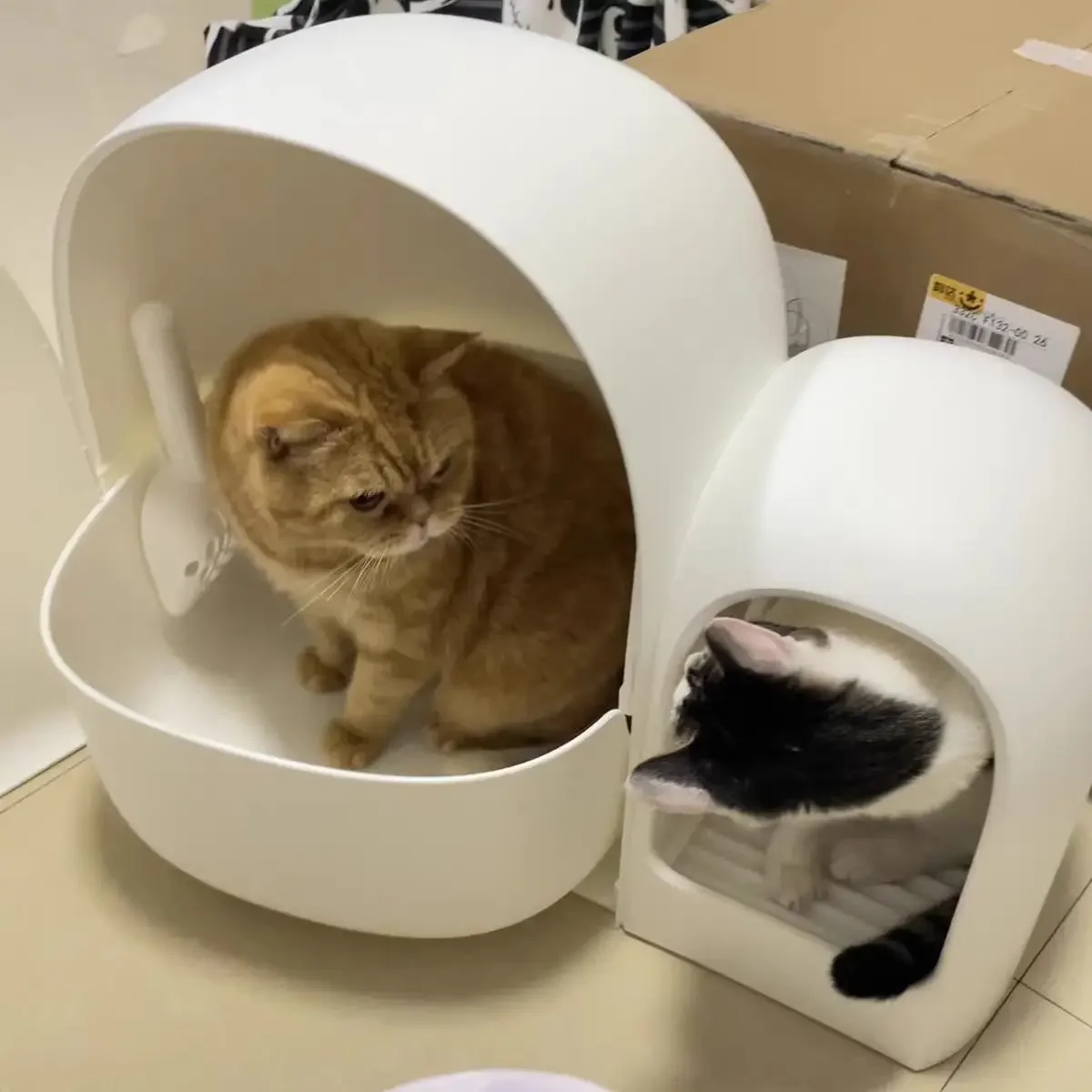 Cat litter box fully enclosed oversized small big cat toilet corridor type deodorant and anti-splash sand table cat products view 4
