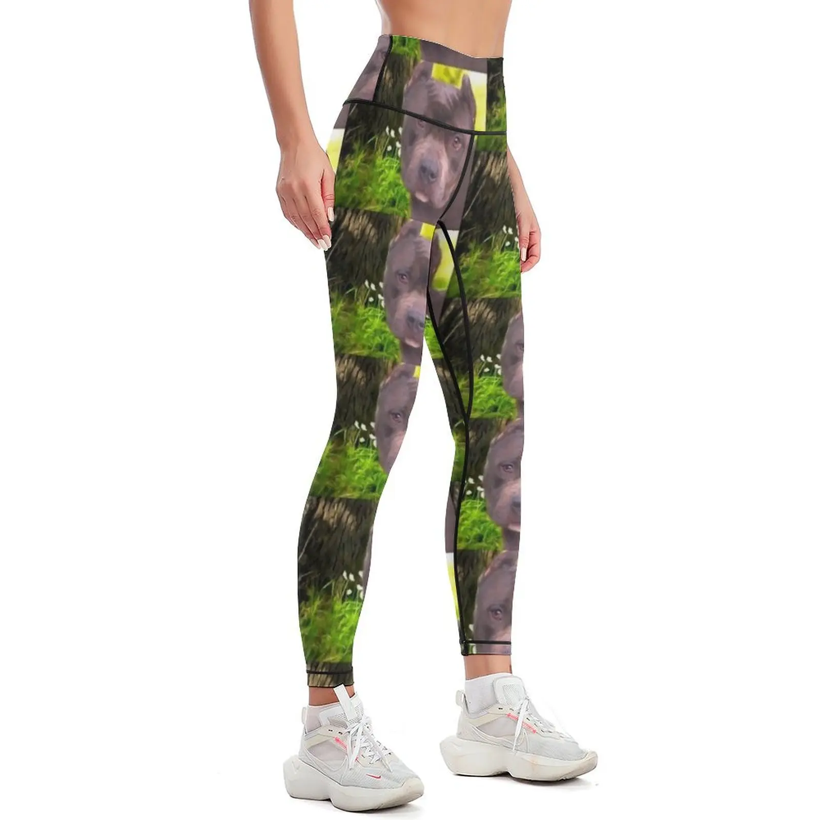 Leggings chien Pitbull marron pour femmes, pantalons de survêtement moulants, ensemble de fitness, leggings de sport pour la gym