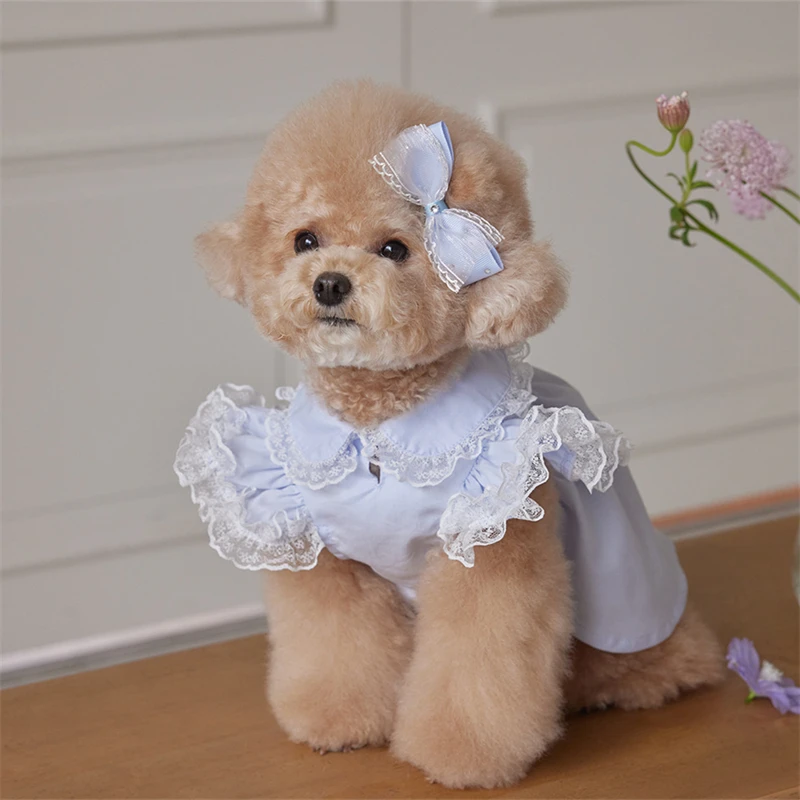 

Платья для собак: кружевные платья-принцессы с рюшами и воротником-стойкой для маленьких собак, щенков, кошек и средних собак