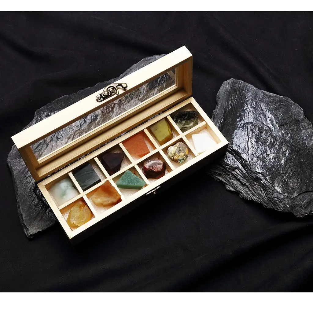 Rock & Mineral Collection Geology Earth Science Toy 12pcs/Case Jade Gemstone