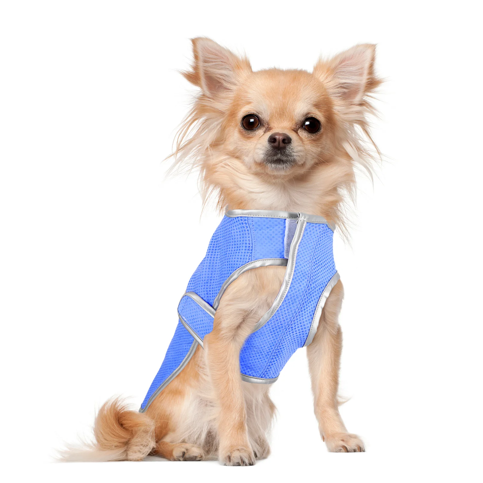 

Double Seamed Dog Cooling Vest PVA Technology Chemical Free Eco Friendly Fabric Rounded Design Flexible Sticky Tape for Dogs